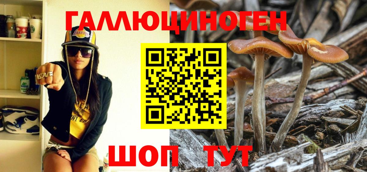 Белово  Псилоцибиновые грибы мицелий  Вход с VPN  Галлюциногенные грибы мухоморы 